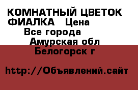 КОМНАТНЫЙ ЦВЕТОК -ФИАЛКА › Цена ­ 1 500 - Все города  »    . Амурская обл.,Белогорск г.